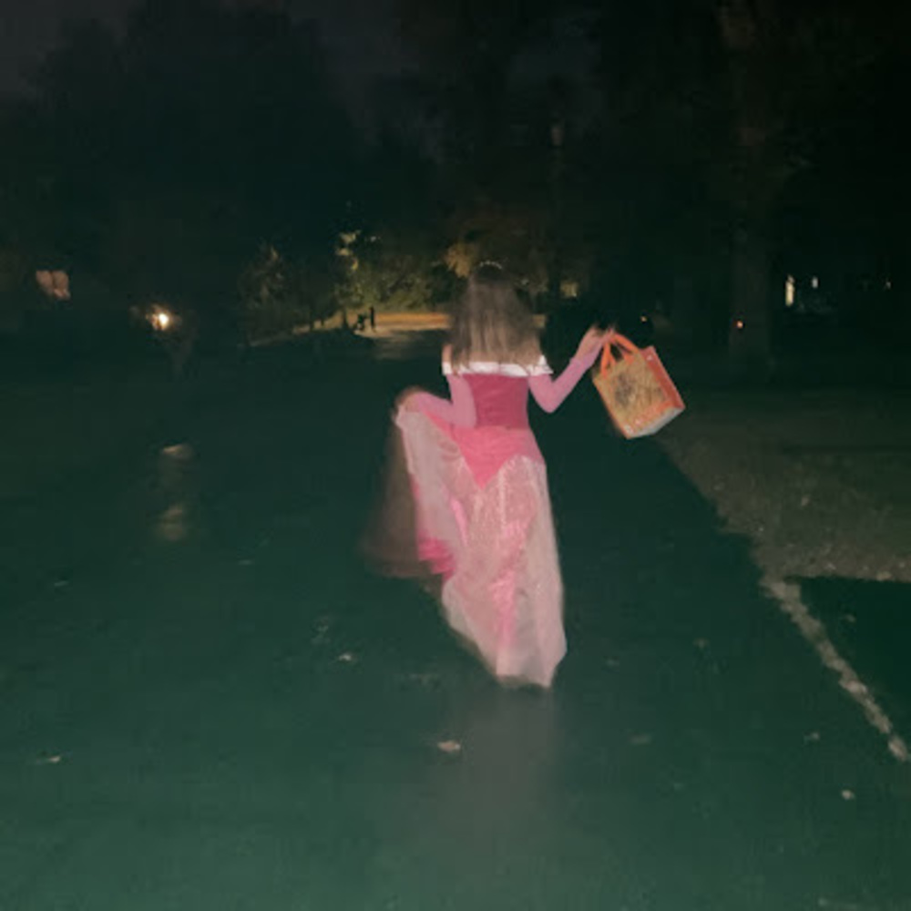 Meet your Posher, Maddy